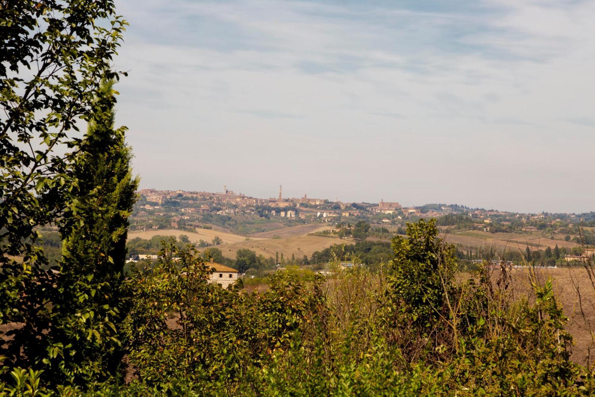 Casavacanze Vesta Isola d'Arbia Buitenkant foto